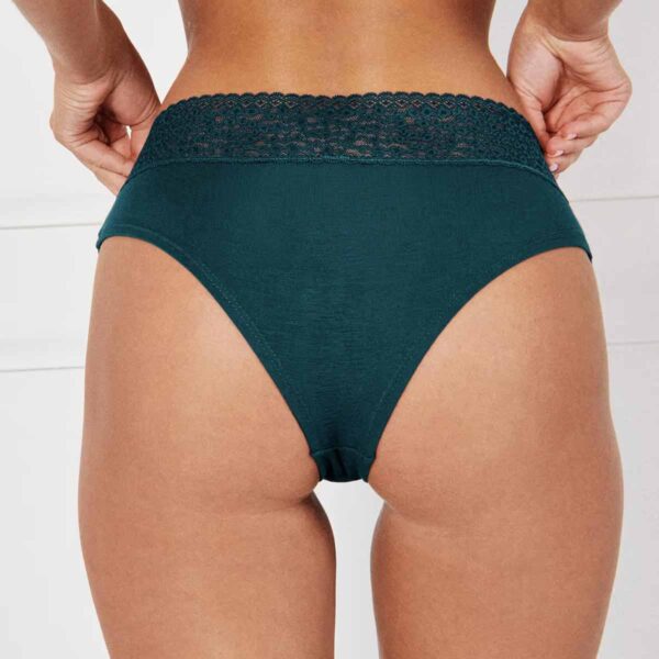 Leowaistiz-Shorty:Plain Hipsters With Leopard Lace - Image 2