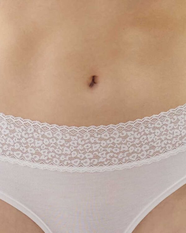 LEOWAISTIZ:Plain hipsters with leopard lace - Image 3