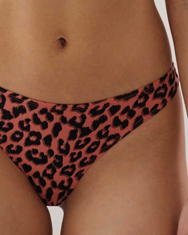 TAOMIZ LEOTACHIZ - PACK OF THONGS:Pack of 3 cotton thongs - Image 2