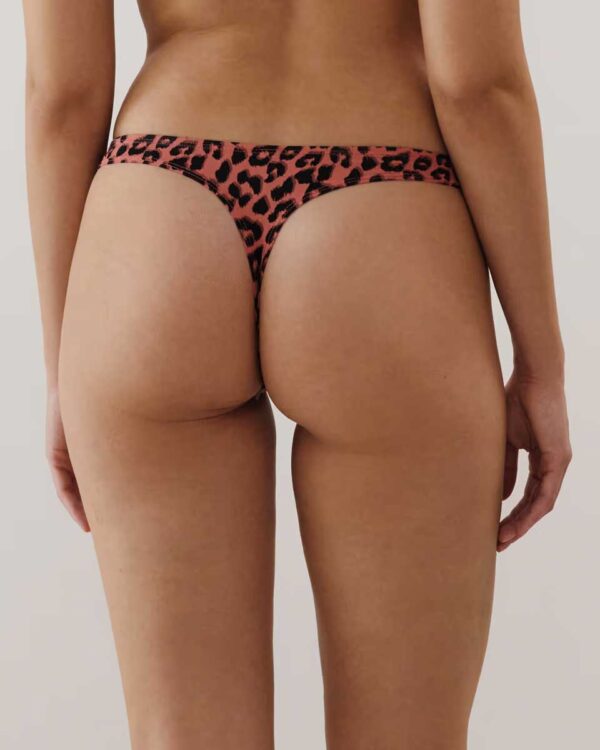 TAOMIZ LEOTACHIZ - PACK OF THONGS:Pack of 3 cotton thongs - Image 3