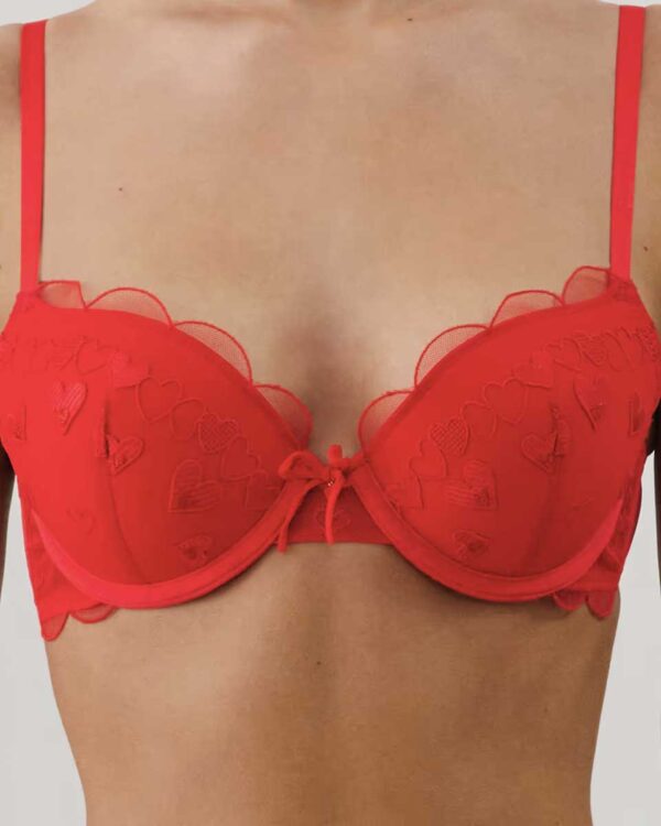 HEARTLOVIZ-PUSH:Push-up bra with embroidery - Image 3