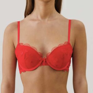 HEARTLOVIZ-PUSH:Push-up bra with embroidery