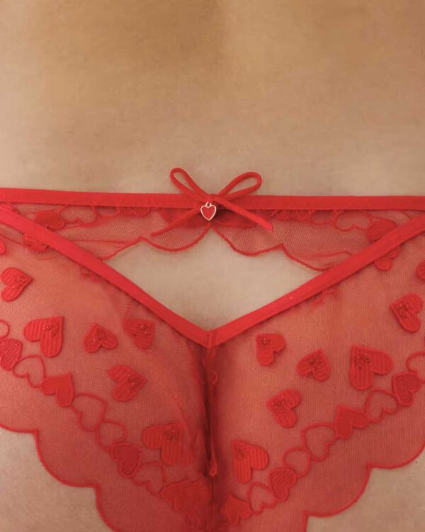 HEARTLOVIZ-SLIP:Brief with embroidery:Brief with embroidery - Image 4