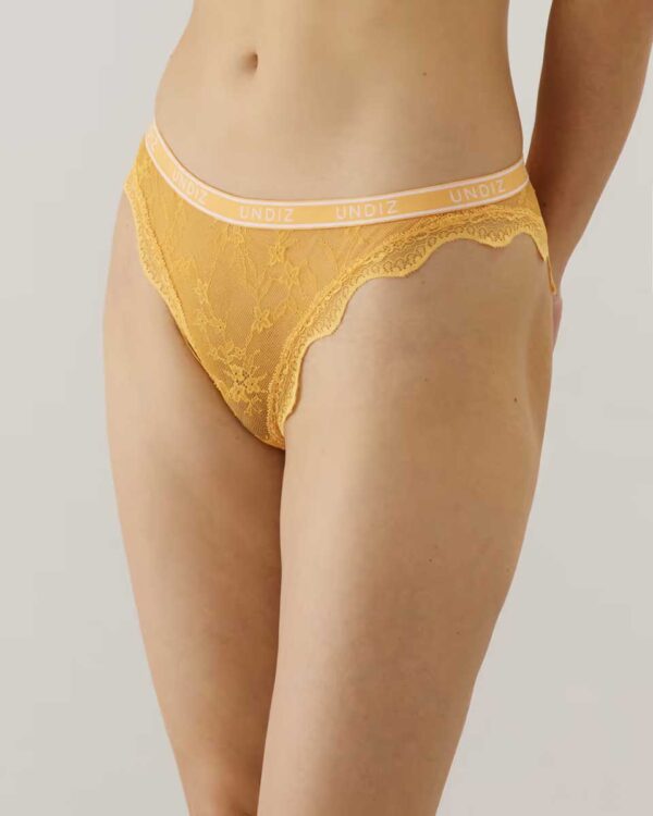 LOVESPELLIZ-SLIP : Lace brief