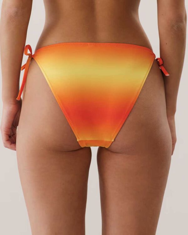 POLARIZ PALMIZ-BIKINI : Bikini - swimsuit bottoms - Image 2