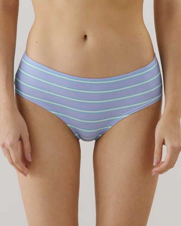 SHORTIZ NEWRAYIZ-LOT DE SHORTYS : Pack of 3 cotton briefs