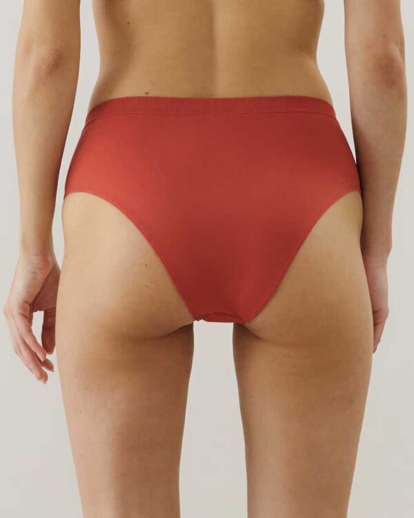 MAXIDOUCIZ-HW SLIP : High-waisted microfibre brief - Image 2