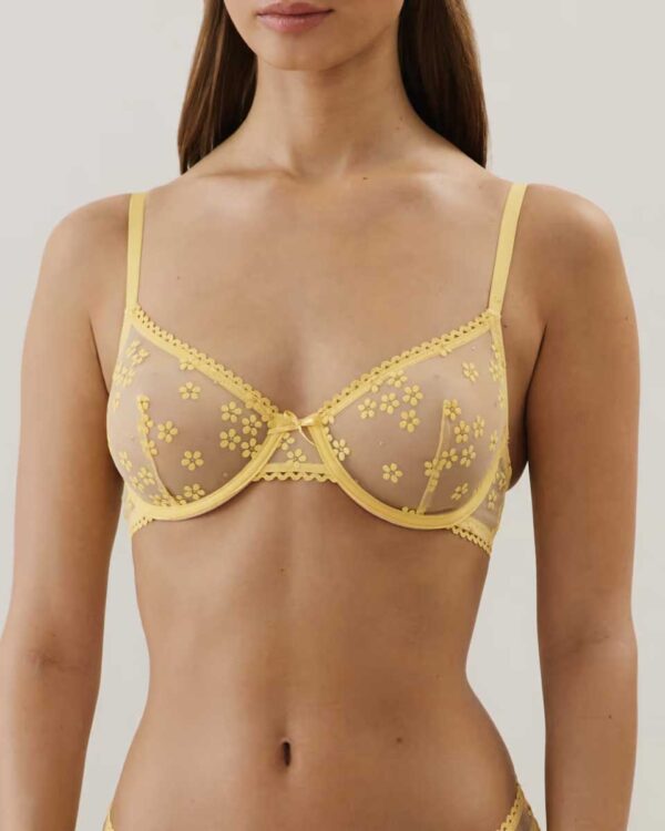 CANDICIZ-CORBEILLE : Balconette bra in tulle with embroidery