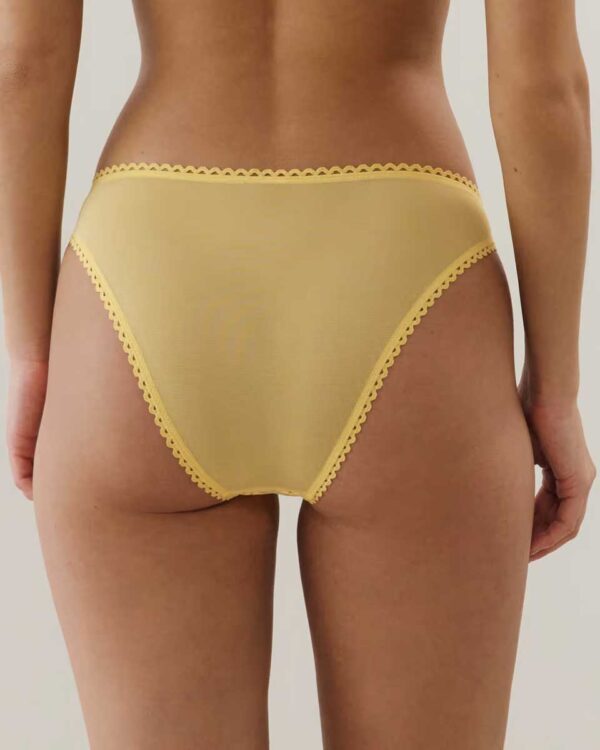 CANDICIZ-SLIP : Tulle brief with embroidery - Image 2