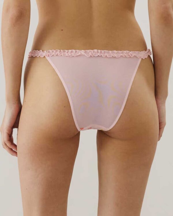 FIORDALIZ-SLIP : Tulle brief with embroidery - Image 2