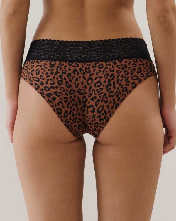 LEOWAISTIZ FELINIZ-SHORTY:Leopard lace shorts - Image 2