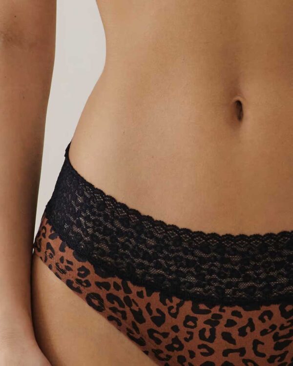 LEOWAISTIZ FELINIZ-SHORTY:Leopard lace shorts - Image 3