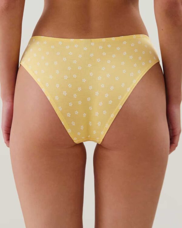 BOTTLIZ PITTORESQUIZ- LOT DE SLIP:Pack of 3 patterned briefs - Image 2