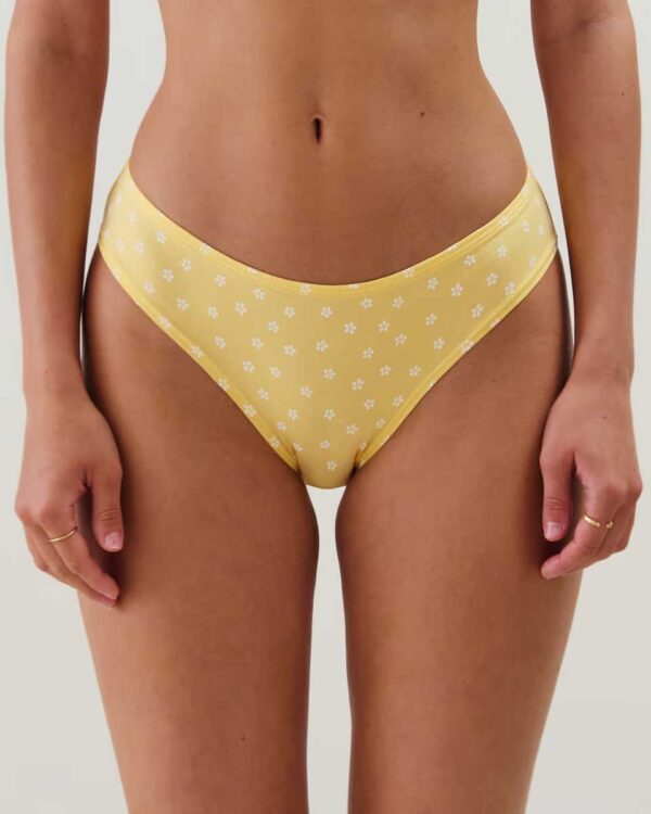 BOTTLIZ PITTORESQUIZ- LOT DE SLIP:Pack of 3 patterned briefs